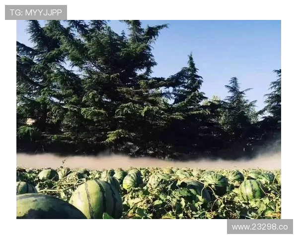 17吃瓜入口入口入口:快速进入吃瓜世界的秘诀 17吃瓜入口入口入口:快速进入吃瓜世界的秘诀